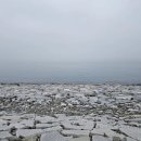 (주)군산종합모터스 | 군산 새만금방조제 산란 삼치 낚시 메탈게임