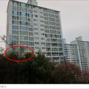 삼육세탁소 이미지