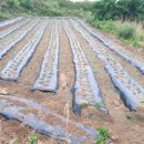 대근농장 이미지