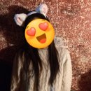 생명소중연구소고양이낭만랜드 | [공지] 길고도 짧은듯한 10월 일상