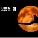 보름달상사 이미지