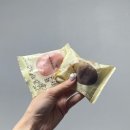 (유)플러스건설 | 1월의 일상 모음