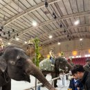 평화로11번가 이미지