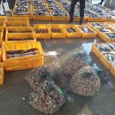 주문진농수산
