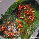 집밥매니아 이미지