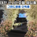 호텔선샤인 | 대전 선샤인호텔 웨딩홀 그랜드볼룸 뷔페 하객 후기