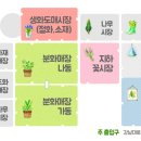 양재시장 이미지