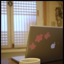 따꿈누룽지백숙 이미지