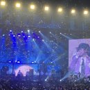 드플봄날 | [양요섭 솔로 콘서트 비터스윗] 매일이 6월10일,11일 일 수는 없나요....