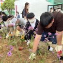 도곡중학교 이미지