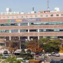 서구-7 이미지