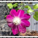 살맛나는세상 이미지