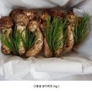 속리산자연농산 당일채취, 당일배송 국내 자연산 송이버섯 판매합니다~~ 이미지