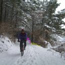 남산 홍주사 이미지