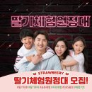 2021 양평 딸기체험 원정대 체험단 모집 안내