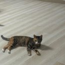 (주)쏘캔 네이버블로그