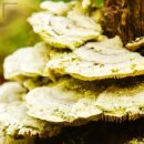 소래미소치과의원 이미지