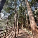 대공원칼국수&수제비 이미지