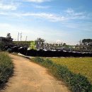 화수리농장 이미지