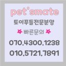 행복한강아지 이미지