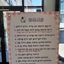 뚱냥한 하루 이미지