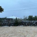 라니스테이 이미지