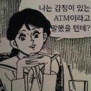 파라삐리포 이미지