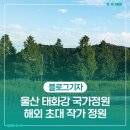 더온의료기 울산태화강지점 | 울산 태화강 국가정원, 해외 초대 작가 정원으로 빛나다