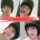 신서로 Daum카페
