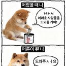 바라