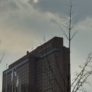 조아목욕탕 | 서울 신라호텔 후기