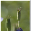 낙용농장 이미지