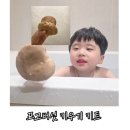 집에서 시작하는 자연체험 드림버섯농장 표고버섯키우기 키트 솔직후기