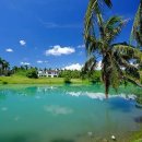 종일코스 이미지