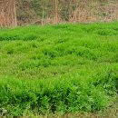 명계농장 이미지