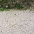 낭만가족 캠핑장 이미지