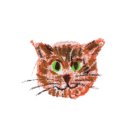 범천1동주민센터 이미지