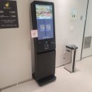 레몬사우나 이미지