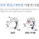 연세든든척의원 이미지