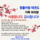 청출어람태권도 이미지