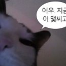 육고깃집