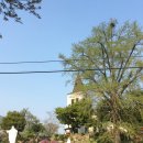 원평성당 앞 이미지