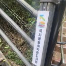 국사봉숲속작은도서관 | 동작구 도서관 국사봉 숲속 작은도서관 다녀온 후기