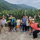 숲속의 행복마을 이미지