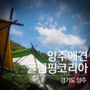 양주글램핑코리아애견캠핑장 이미지