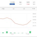 에이티 바이오 이미지