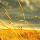 성서주공7단지아파트 이미지