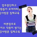 파인 사이버 평생교육원 티스토리
