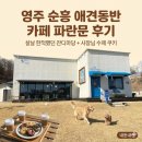 소백로1 | 영주 순흥 애견동반 카페 파란문 후기｜설날 한적했던 잔디마당 + 사장님 수제 쿠키(내돈내산)