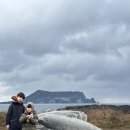 아이랑 겨울제주 4일차_아쿠아플라넷 제주 , 비 오는 날 실내 관광지 추천! 공연 시간, 입장료, 위치...